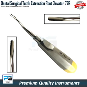 Dental Root Elevator 77R 2.5mm Tooth Extraction Elevators Veterinary Surgical - Picture 1 of 8