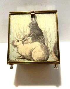 Estuche con tapa de vidrio y latón Bunny Rabbits colección Katherines Tailandia - Imagen 1 de 14