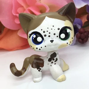 Toys Mini Pet Shop, pelo corto, gato, personalizado, pintado a mano - Imagen 1 de 3