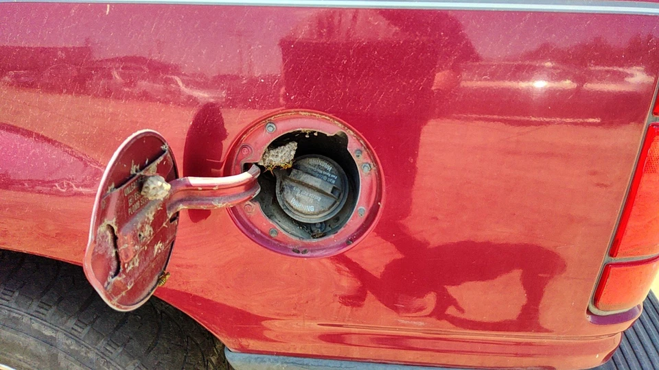 Conjunto de cuello de llenado de combustible Ford Explorer 1991-1994 con tapa de gasolina OEM F17Z9034E Foto 1 de 1