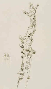 E. STEPPES (1873-1968), Pilzbewachsenes Baumgerippe,  1921, Feder Surrealismus - Picture 1 of 4