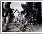 Singapour, garden, jardin botanique Vintage silver print Tirage argentique  