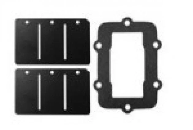 Kit de reparación de válvula de caña SPi SM-07160C Ski-Doo/Lynx Foto 1 de 1