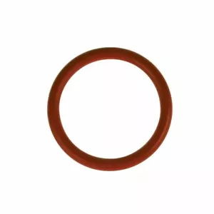 Original Seal O-Ring for Saeco Brew Brewing Infuser - Picture 1 of 2