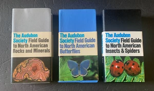 National Audubon Society Field Guides North American Rocks Butterflies Spider - Picture 1 of 4