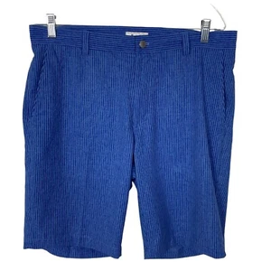 PETER MILLAR Men Golf Shorts Sz 34 Blue Striped Sport Chino Zipper Button 1-28 - Picture 1 of 10