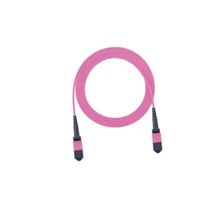 1-10M MPO to MPO OM4 Fiber Optic Patch Cord 12 Core Type B MTP/Female-Fema lot - Afbeelding 1 van 22