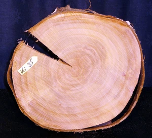 Kirsche ,Baumscheibe, Holzscheibe,Floristik,Tischplatte,basteln, 24x20x2cm - Picture 1 of 2