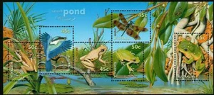 Australia - "KINGFISHER ~ FROGS ~ DRAGONFLY ~ SMALL POND" Unique MNH MS 1999 - Picture 1 of 5