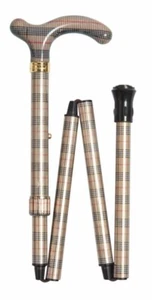 walking stick - Picture 1 of 7