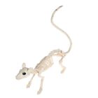 Maus-Fledermaus-Eidechse Skorpion Spinne Halloween-Tiers kelett
