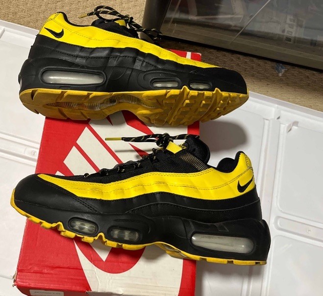 Nike Air Max 95 Frequency Pack for Sale | Authenticity