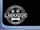 Certified Labrador L275 Dog Sticker 6" decal