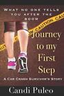 Journey to My First Step: A car crash survivor's story by Candi Puleo Paperback 