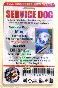 HOLOGRAPHIC PVC SERVICE DOG ID CARD ASSISTANCE ANIMAL ID BADGE TAG FOR VEST #ORH - Picture 1 of 8