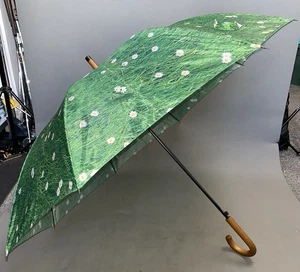 Daisies In Grass Print Large Automatic Umbrella, Wooden Hook Handle. L: 96cm - Picture 1 of 11