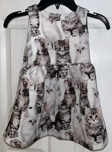 H&M Girl  Dresses 1.5-2 Yrs  Kitten - Picture 1 of 6