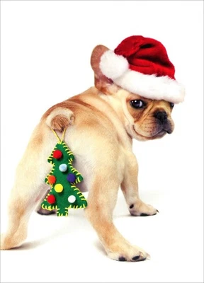 Divertida Tarjeta de NAVIDAD, Lindo Bulldog Francés de Vacaciones Perro Cachorro + Sobre Foto 1 de 4