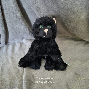 Webkinz Ganz schwarze Katze HM135 Plüsch - ohne Code - fantastischer Zustand mit Etikett - Bild 1 von 4