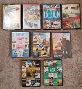 Large DVD Lot Wild Horses Stallions Family Movie Collection Film Adventure Pack - Picture 1 of 19