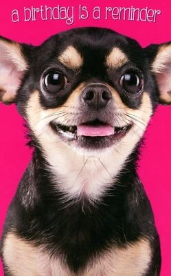 Linda Tarjeta FELIZ CUMPLEAÑOS, Recordatorio Chihuahua Impresionante por Stockwell Saludos +✉ Foto 1 de 4