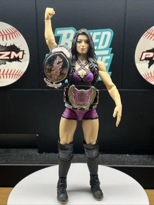 2014 WWE WWF Mattel Paige Elite Women Wrestling Figure Series 34 Diva NXT titles - Bild 1 von 21
