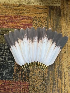 Macaw Parrot Feathers Golden Eagle synthetic feathers - Picture 1 of 6