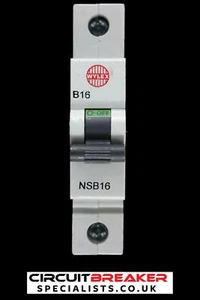 WYLEX 16 AMP CURVE B 6 kA MCB CIRCUIT BREAKER NSB16 BLACK CLIP - Picture 1 of 6
