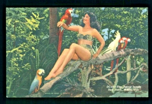 Postcard: The Parrot Jungle Red Road, Miami, Fla - X - Picture 1 of 2