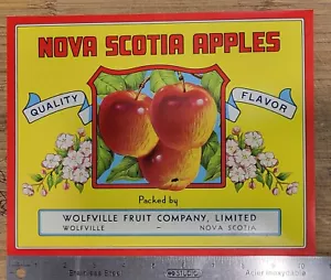 ADVERTISING Label Nova Scotia Apples Wolfville NS Canada Wolfville Fruit Company - Picture 1 of 1