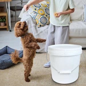 Bucket Food Storage Pail Duty 10l Bucket with Lid Handle for Food Water Storage - Picture 1 of 10