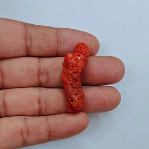 Italia Rama de Coral Piedras Preciosas Sueltas 100% Natural De Colección Coral Pulido ANTIGUO ÁSPERO - Imagen 1 de 6