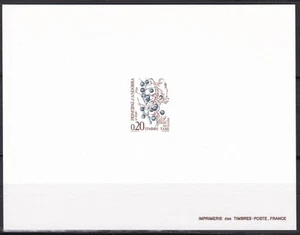 Fr. Andorra ScJ54 Plant, Blueberry, Tree, Deluxe Proof - Picture 1 of 1