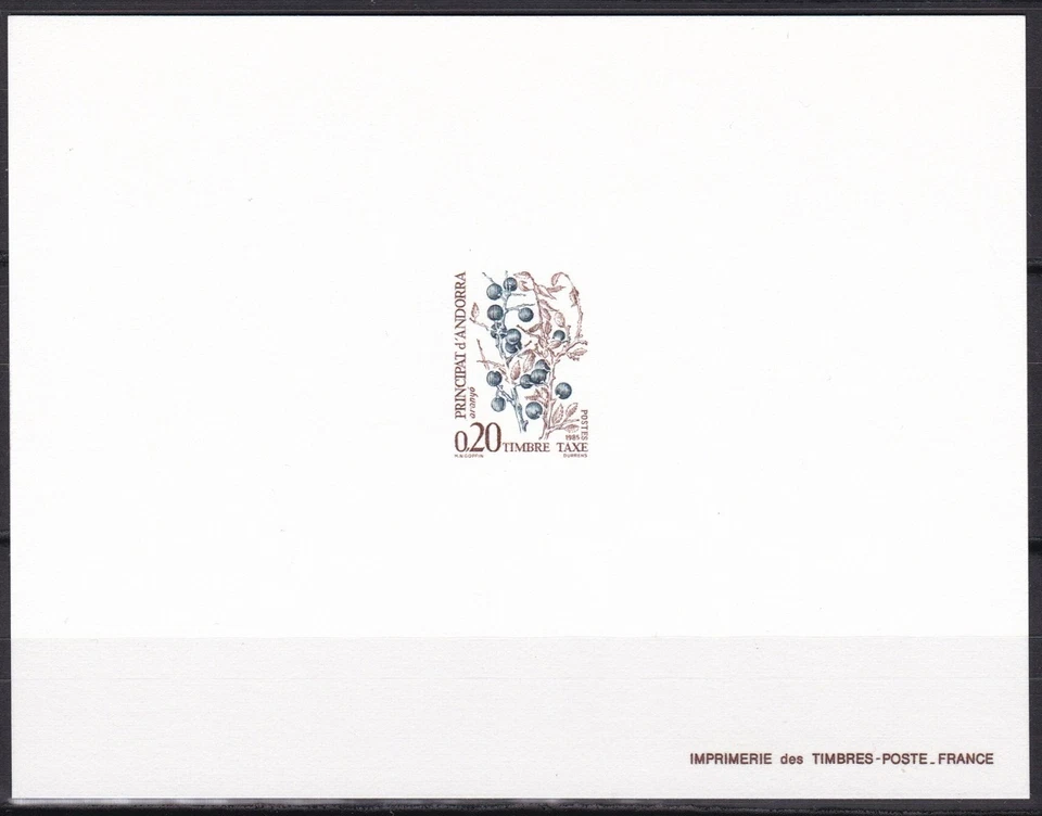 Fr. Andorra ScJ54 Plant, Blueberry, Tree, Deluxe Proof - Image 1 of 1
