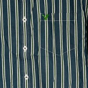 Size Large American Eagle Outfitters Shirt Button Men's L/S Vintage Fit Z1 - Picture 1 of 5