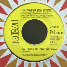 WILSON BROTHERS ~ You Took My Future away. 1969 rare soul 45. EX. DJ