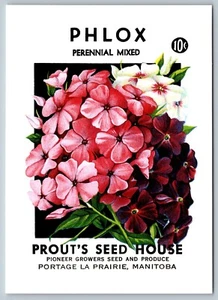 Phlox Perennial Mixed Seed Packet Art Postcard Charming Reproduction New F13 - Picture 1 of 2