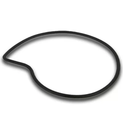 Junta O-Ring Bomba De Agua Aprilia ATLANTIC 125 2003 2004 05 SP0/SPA/SPB/SPC - Imagen 1 de 2