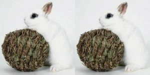 X's 2 Balls Marshall Pet Natural Woven Grass Play Ball for Small Animals Peter's - Picture 1 of 1