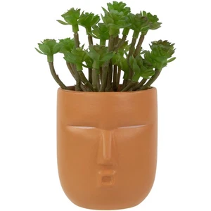 Mini maceta artificial suculenta facial Northlight de 5,5" - Imagen 1 de 6