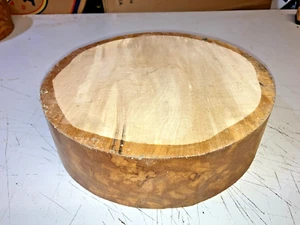 LOTTO 275X78MM 290A LEGNO DI SICOMORO SPACCATO TORNITURA LEGNO VUOTO - Foto 1 di 1