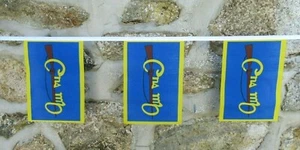 Cumann na mBan Ireland Flag Bunting Polyester 6m Long With 20 Flags - LAST ONE - Picture 1 of 2