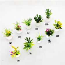 10x Dolls House Miniature 1:12th Scale Potted Flowers Pot Green Plants Garden