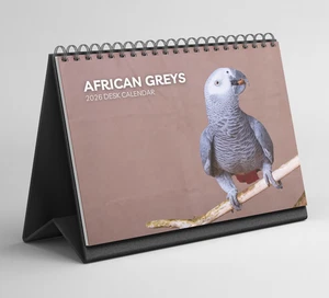African Greys Desk Calendar 2026-2027: Standing Flip Desktop Calendar - Picture 1 of 9