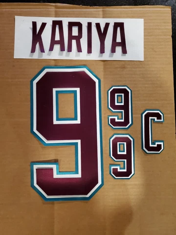 NHL 1995 Paul Kariya Anaheim Mighty Ducks UNSEWN kit for your own Jersey Cover