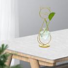 Katzenpflanzen-Terrariumvase, Metallständer für Heim- und Bürodekoration,