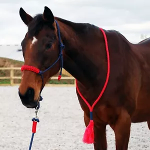 NEW hand made in UK Rope Halter and Lead Rope set (Navy/Red) Size Full - Picture 1 of 2
