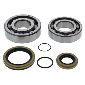 New ALL BALLS Bearing - Main & Seal Kit For GAS-GAS EC300 2T, EC250 2T 24-1118 - Picture 1 of 1