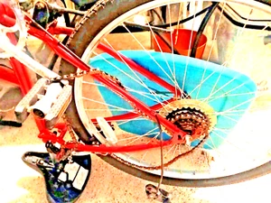 Schwinn Cycle Bicycle - Picture 1 of 2