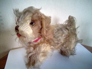 Seltener alter Hund Antikhund Gelenkhund Teddy Alter Ritter König Karl Spaniel - Bild 1 von 6